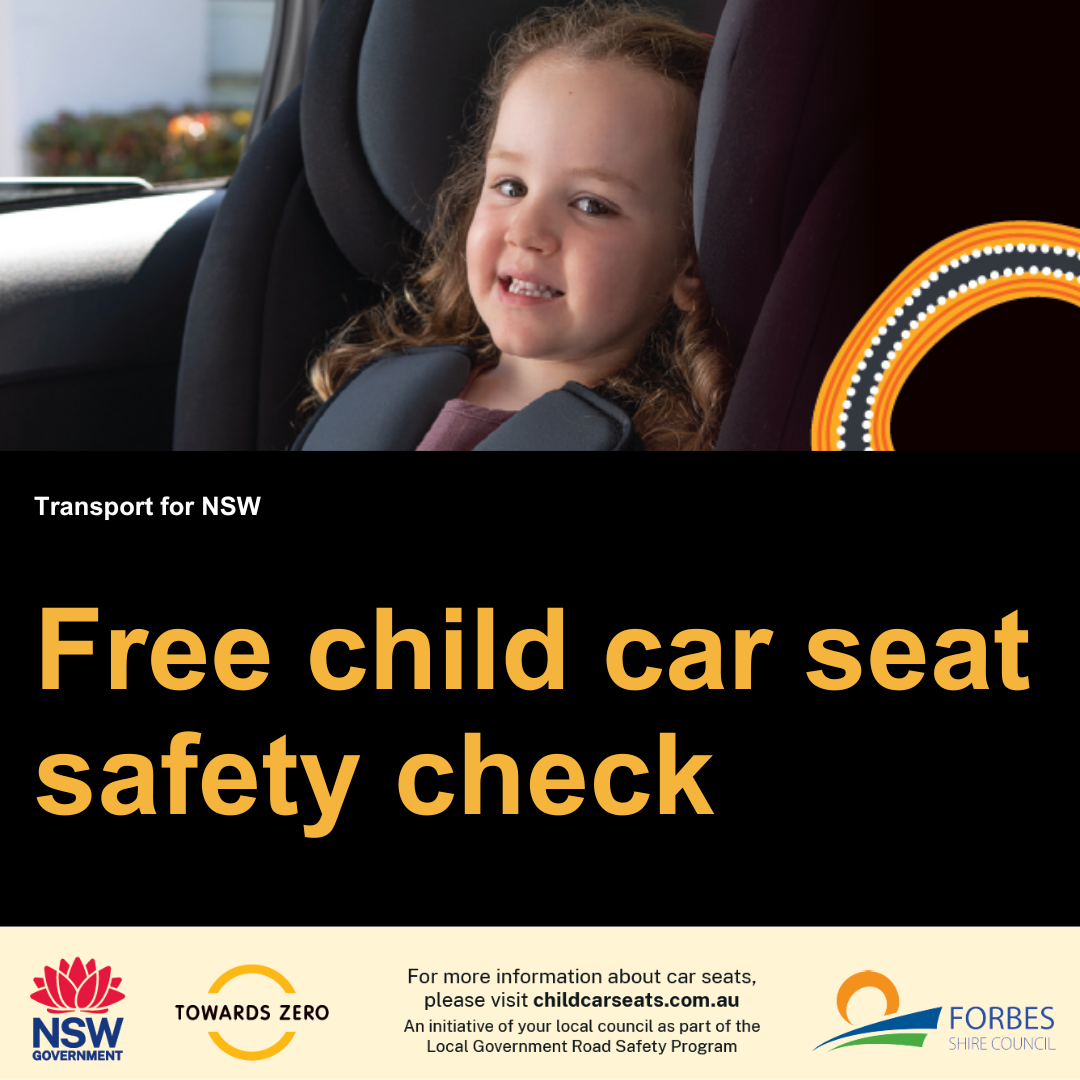 Free child car seat safety checks